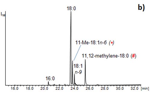 a CCC fraction of the same sample