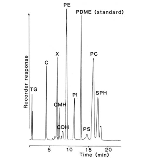 HPLC separation with ELSD detection