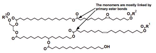 Hypothetical arrangement of monomers that could be found in cutin