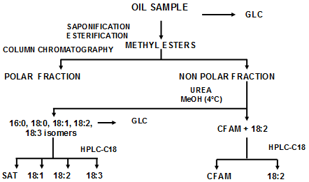 Isolation procedure of cyclic fatty acids from frying oils