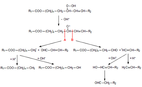 Formation of short-chain compounds from allylic hydroperoxides