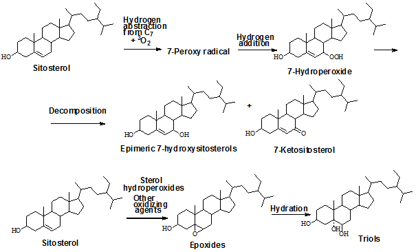 Formation of the main ring structure oxidation products from sitosterol