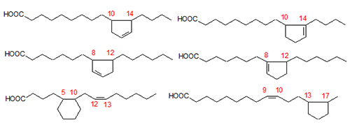 Some of the fatty acids produced during cyclization of linoleate