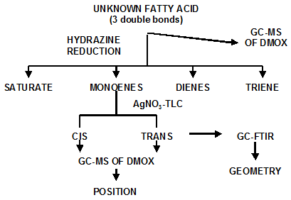 Procedure for determining double bond configurations in trans polyunsaturated fatty acids