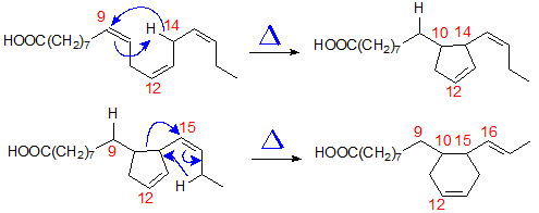 Proposed mechanism for the formation of cyclic fatty acids from alpha-linolenate