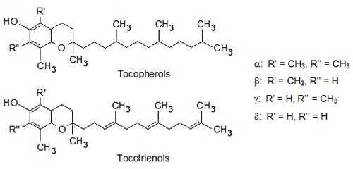 tocopherols - formulae