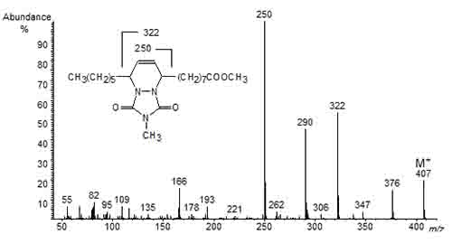 Mass spectrum of the MTAD adduct of methyl 9,11-octadecadienoate