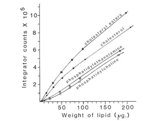 Calibration graph for ELSD detection