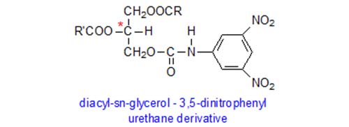 diacylglycerols - 3,5-dinitrophenyl urethane derivatives