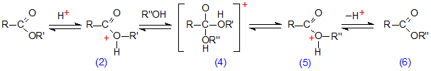 Scheme 2. Acid-catalysed transesterification of lipids.