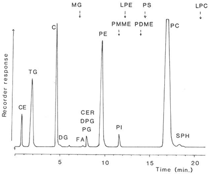 HPLC separation of lipid classes with ELSD detection
