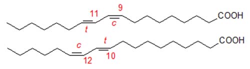 Formulae of CLA isomers